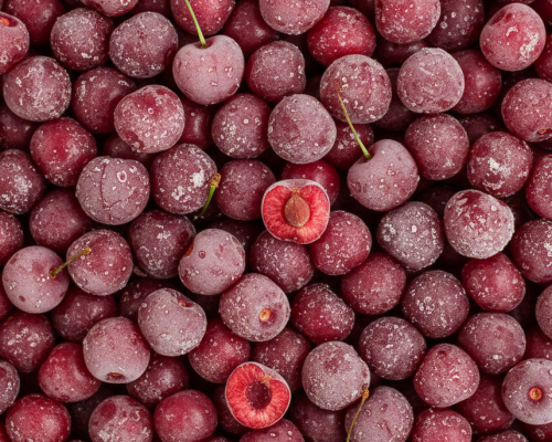 Gemini_Generated_Image_gz03krgz03krgz03